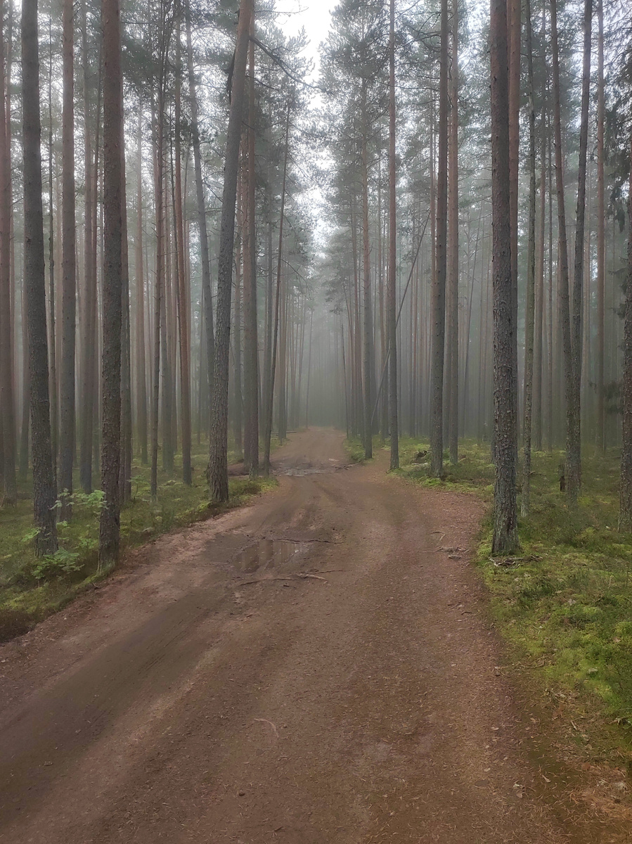 Отъезжаю от стоянки. Сайлент Хилл :)
