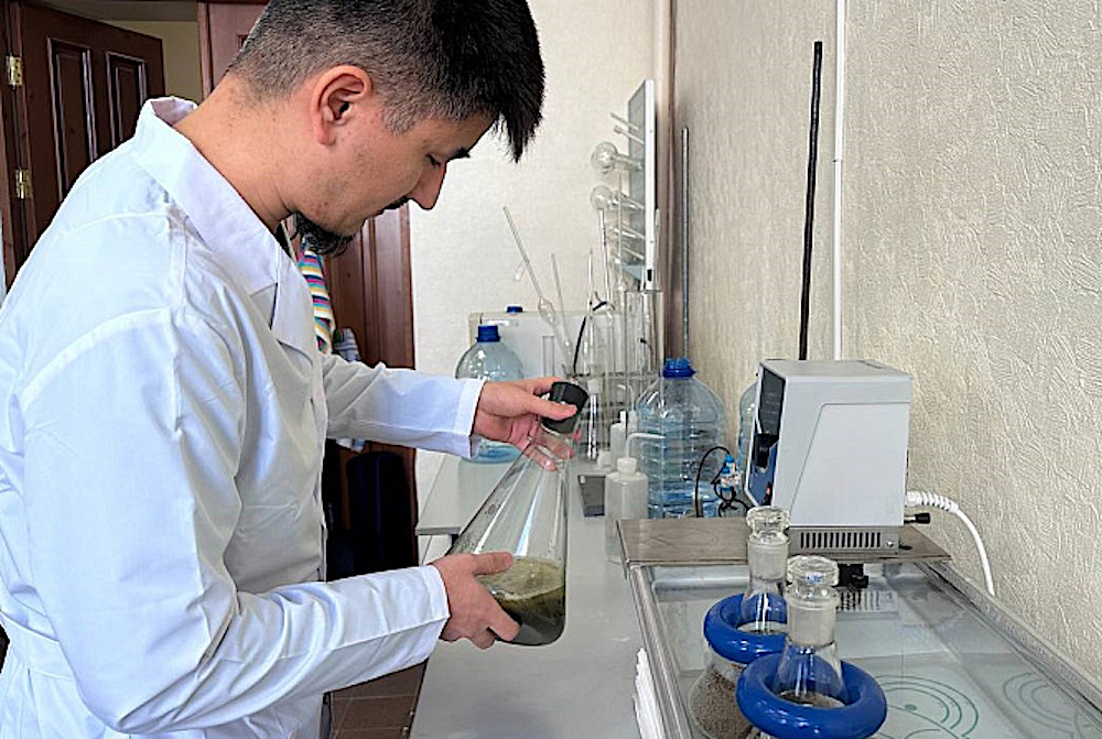 Исследования САФУ. Источник: dvinanews.ru