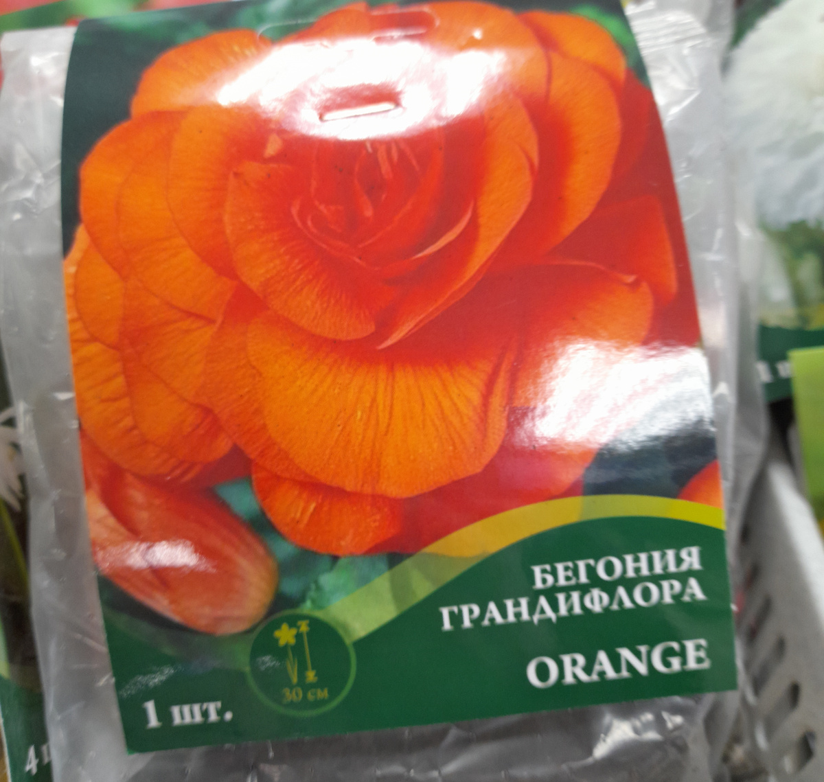 Оранжевая сразу привлекла моё внимание, её я и заберу!