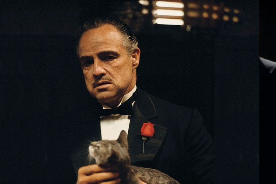 Кадр из фильма