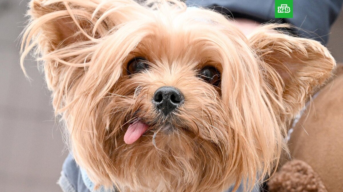    Фото: РИА Новости © 2025, Максим Богодвид