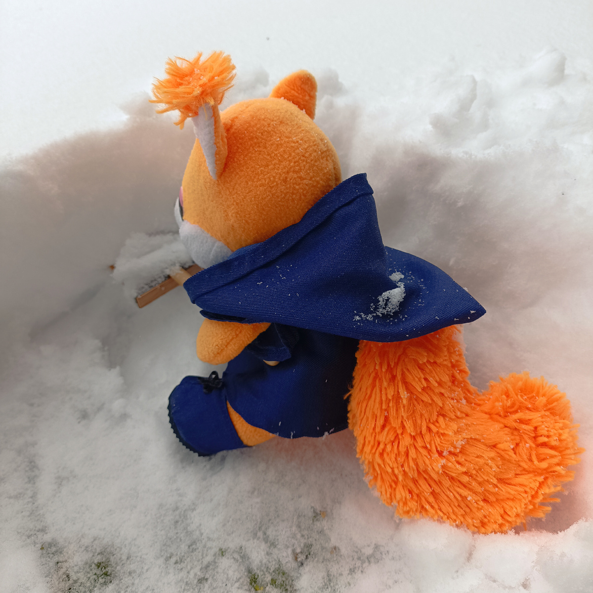 Белочка наконец-то добралась до земли.