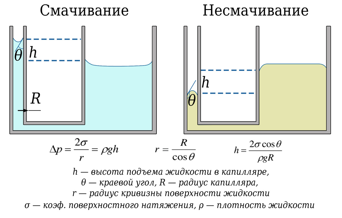 Формула Лапласова давления и следствие из нее: подъем жидкости в капилляре.