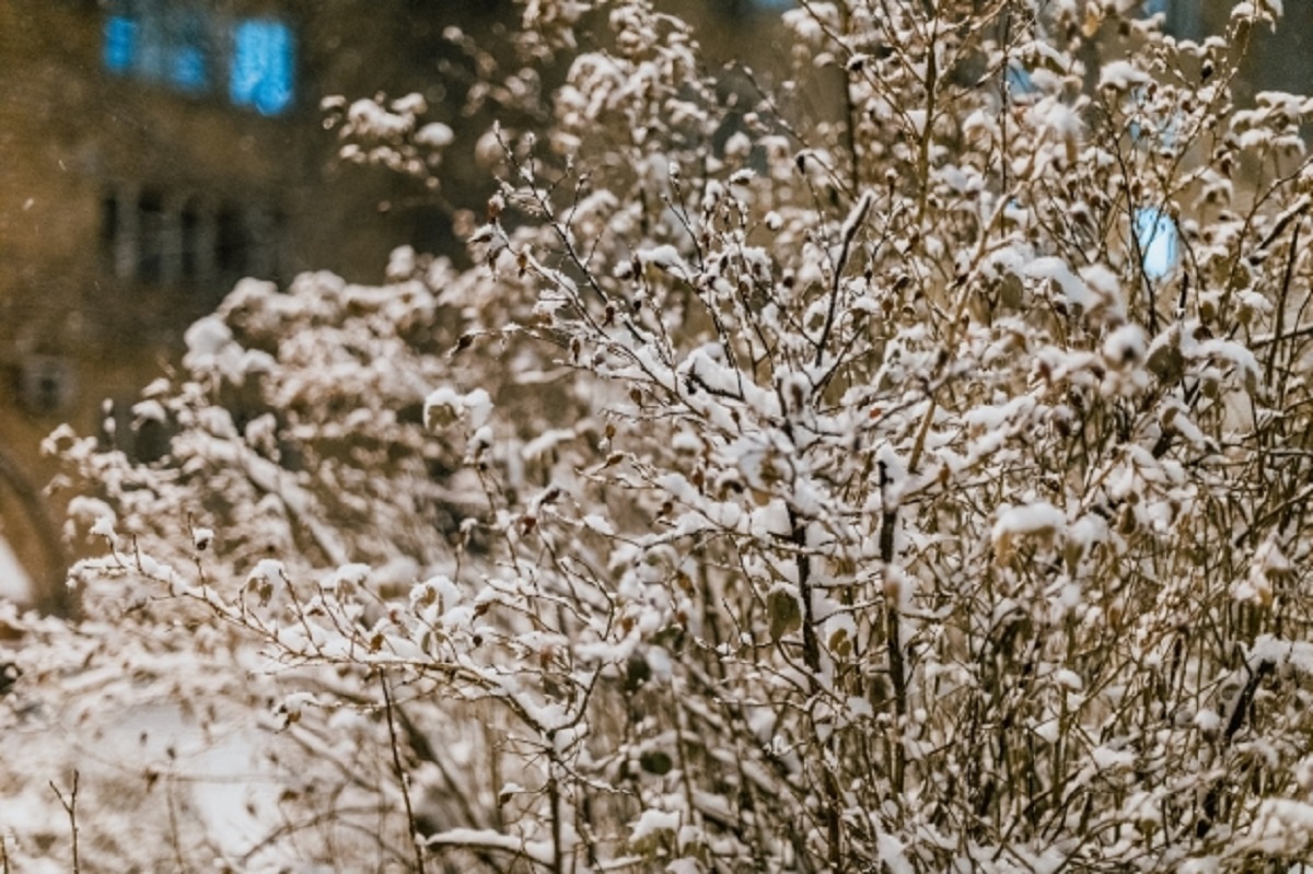 © Фото: ИД «Волгоградская правда» / архив