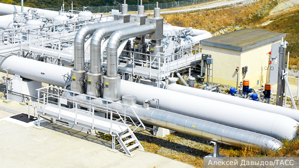     Фото: Алексей Давыдов/ТАСС   
 Текст: Валерия Городецкая