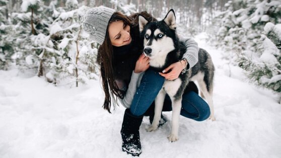    Владельцев собак в Московской области с марта обяжут зарегистрировать своих питомцев Богдан Герцен