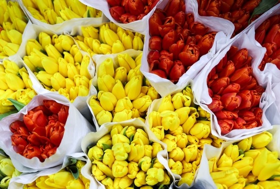    Сергей Булкин/NEWS.ru