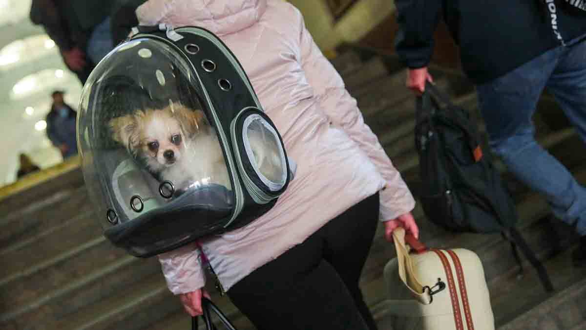    Фото: Василий Кузьмиченок / АГН Москва