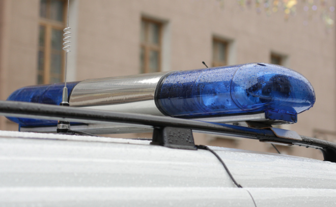    © Baltphoto / Мария Добрыгина