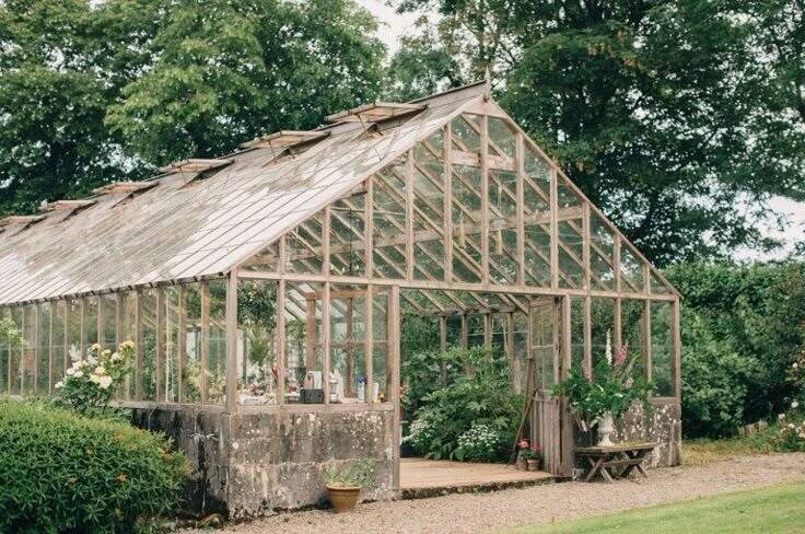 Теплица для ананасов.