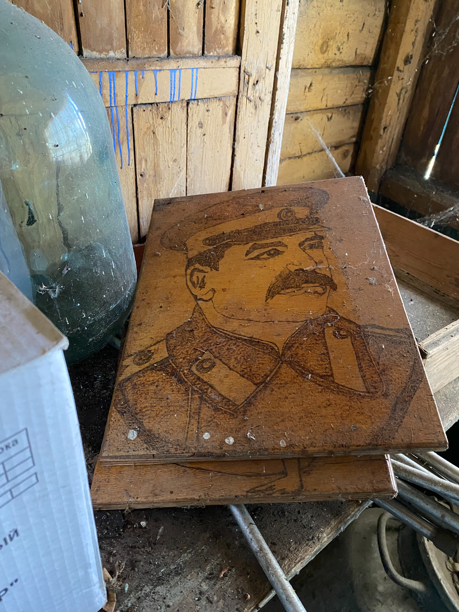 Не могу не поделиться! Это фото я сделала в пристройке того дома в селе, куда мы вторых беженцев на квартиру пристроили. Только не забудьте, это пристройка со всяким хламом, сам дом так не выглядит