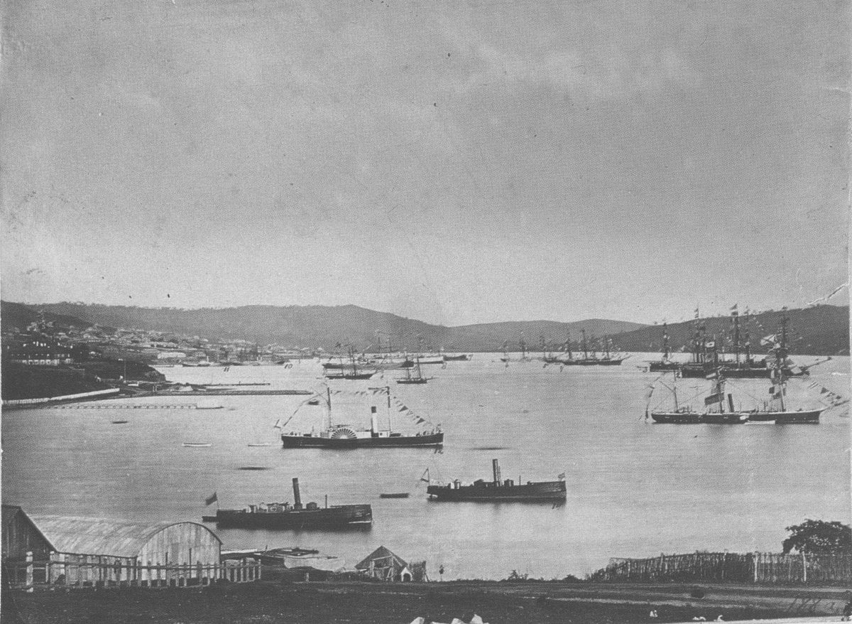 Бухта Золотой Рог 1880-е годы