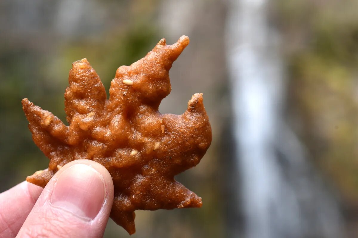 Жареный кленовый лист — все равно что попробовать саму осень