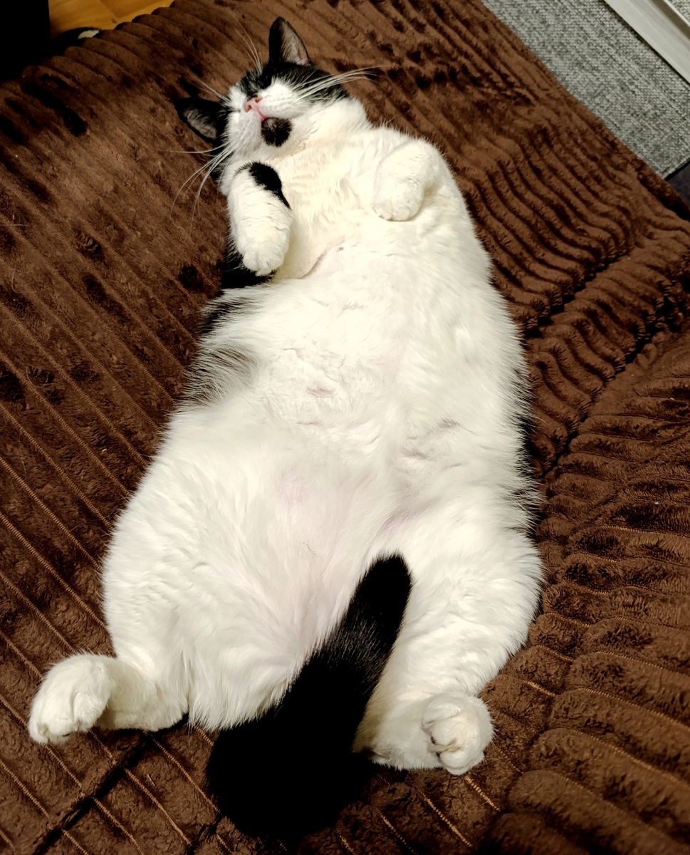 Геральт и самоцензура