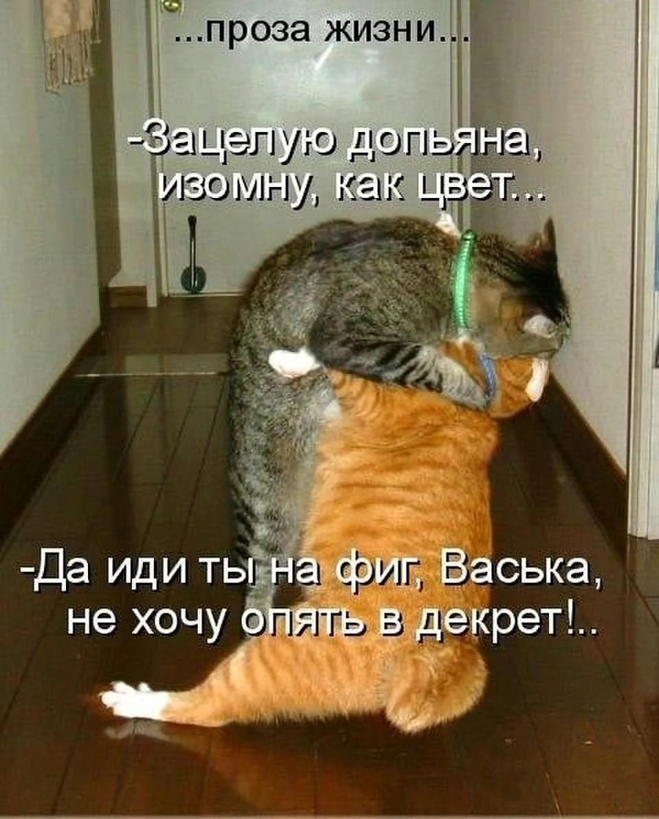 -13