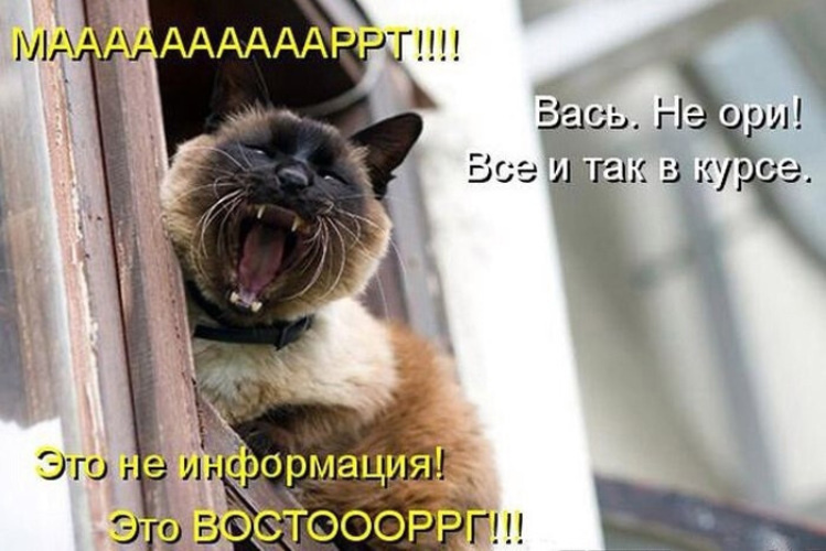 Когда тебя переполняют чувства и молчать невозможно...