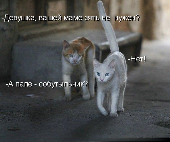 - �������, � �������, ��� �� ���� ���������? (��������: kotomatricy).