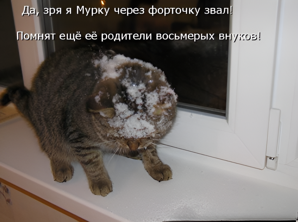 -20