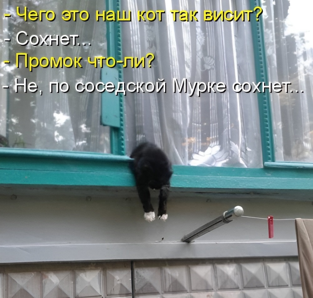 (��������: kotomatricy).