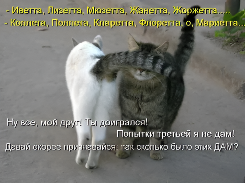 (��������: kotomatricy).