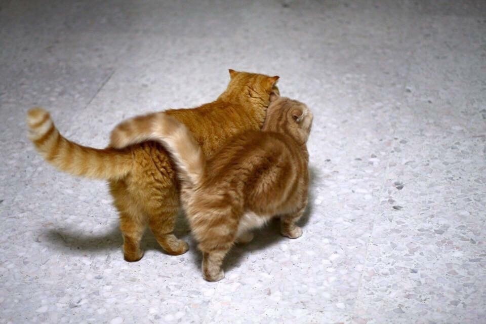 -11