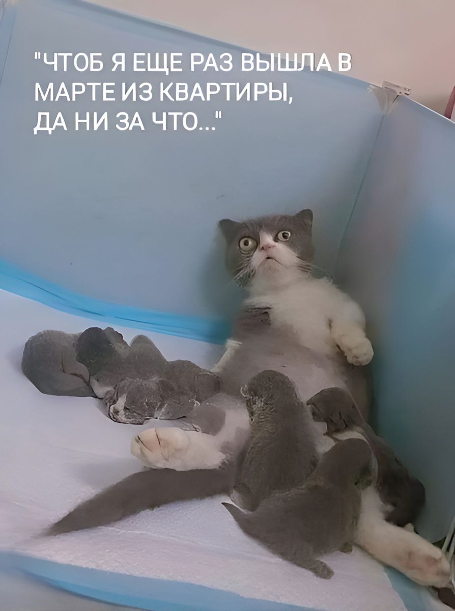 -23