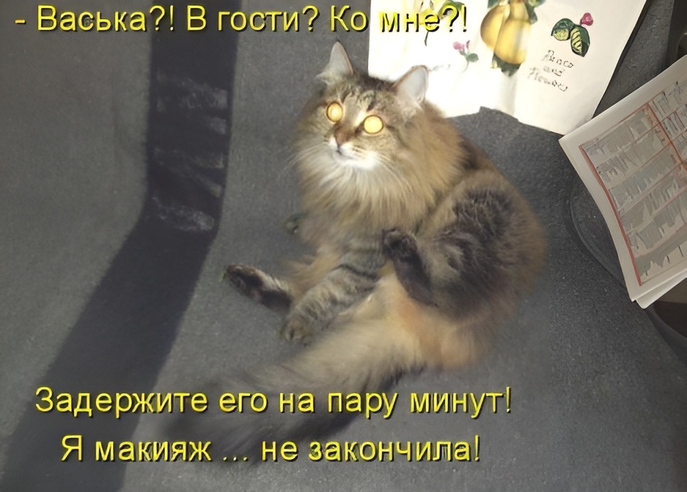 -8