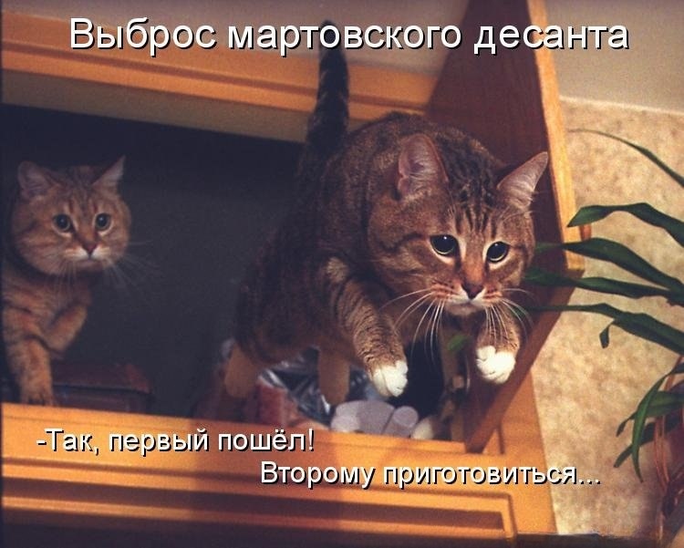(��������: kotomatricy).