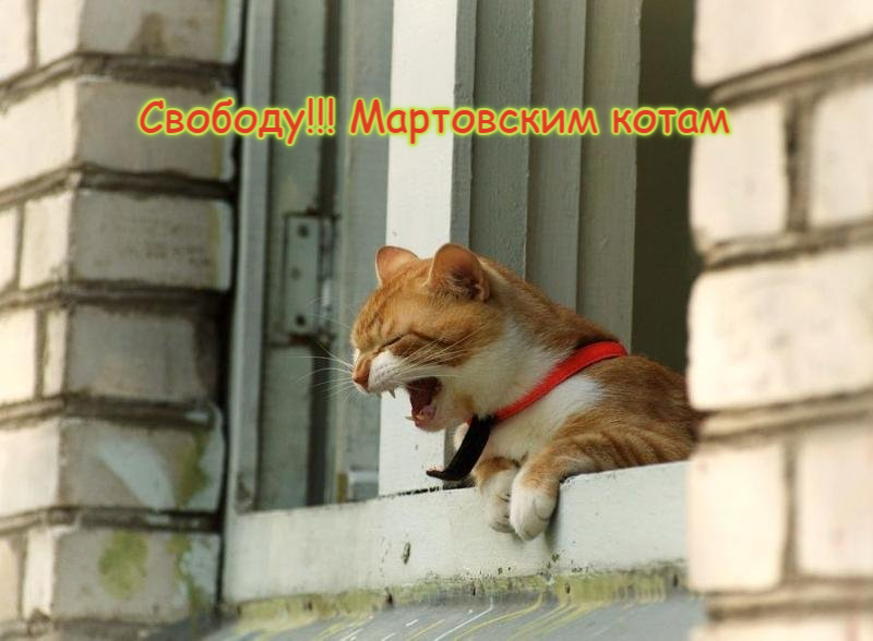 Когда за окном бушует март, а тебя не выпускают на улицу.