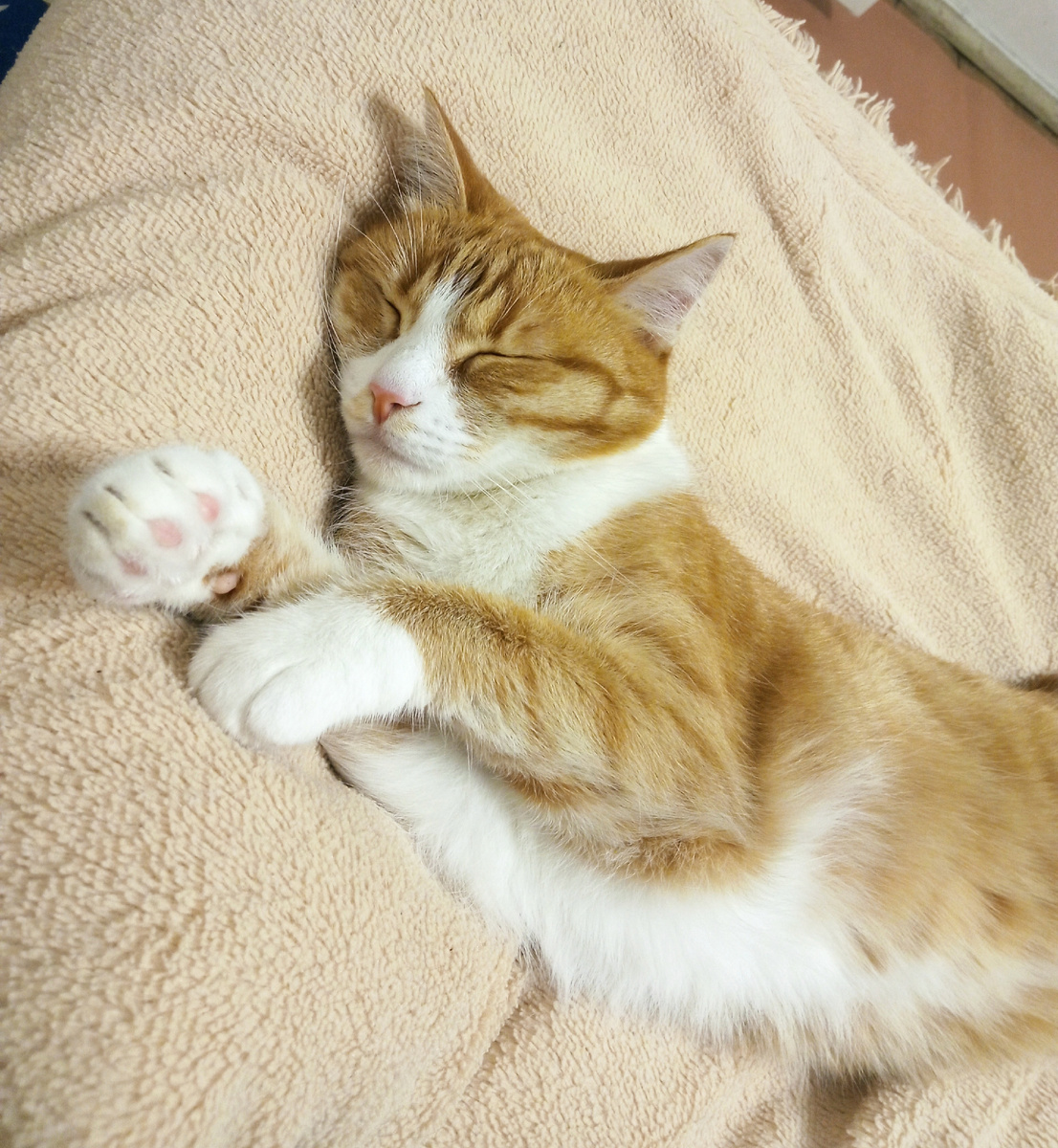 Наша Чубоня)) Чуба, Чубочка, Чеботина, Чуборитка, Чубик, Чубосик, похоже, могу продолжать бесконечно))