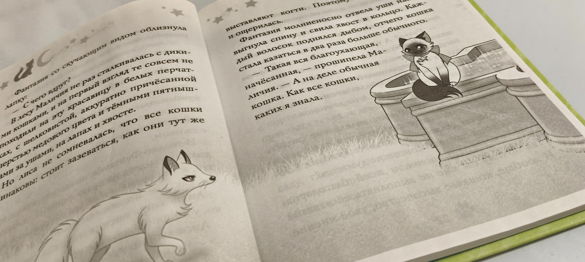 Добрая, интересная серия книг, про волшебство и где добро побеждает зло. Теплая вера в маленькое чудо. 