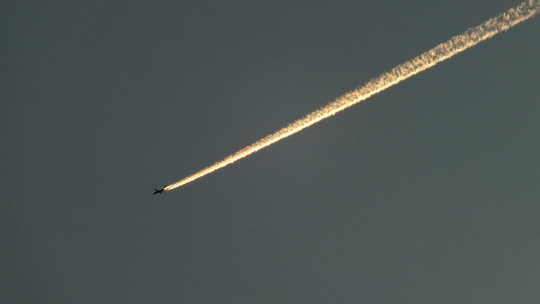    Фото: Victor Lisitsyn/Globallookpress