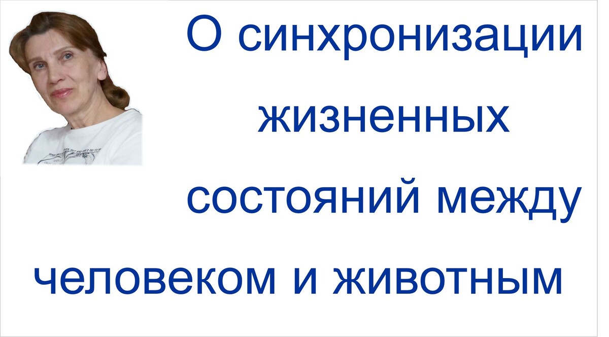 Практические наблюдения за результатами работы программ матрицы