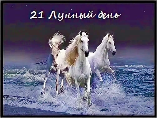 В 1.06 ночи 19 февраля начнется 21йЛунный день с символом Конь, Табун Лошадей.