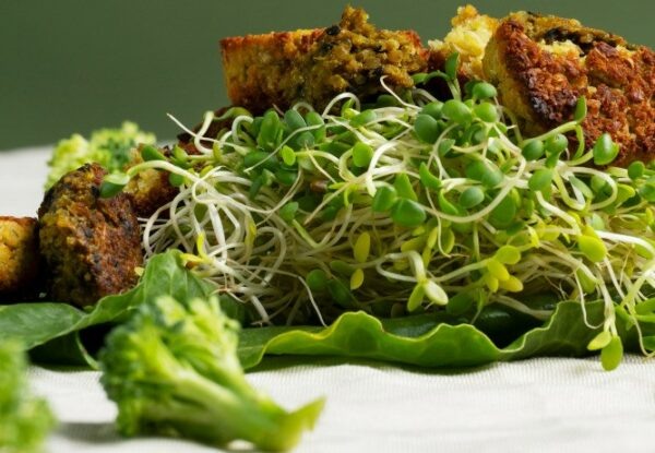    Фото: ru.freepik.com