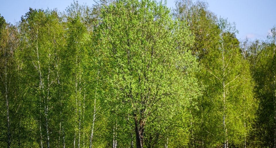    Медиасток.рф