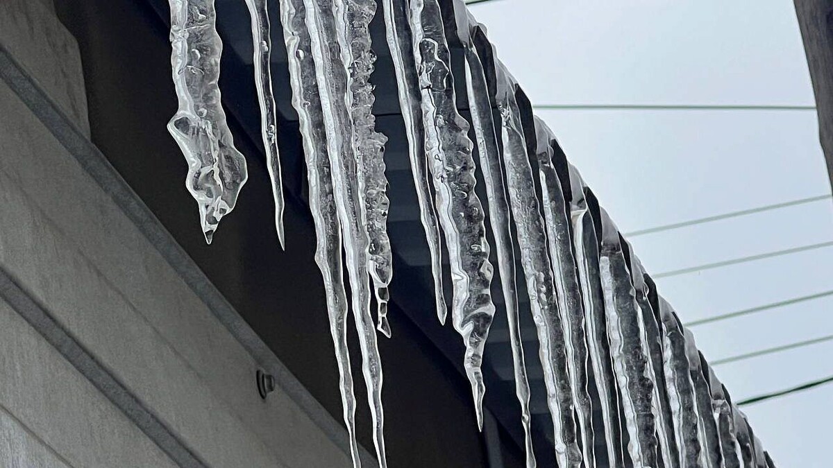    Фото: телеканал «Краснодар»