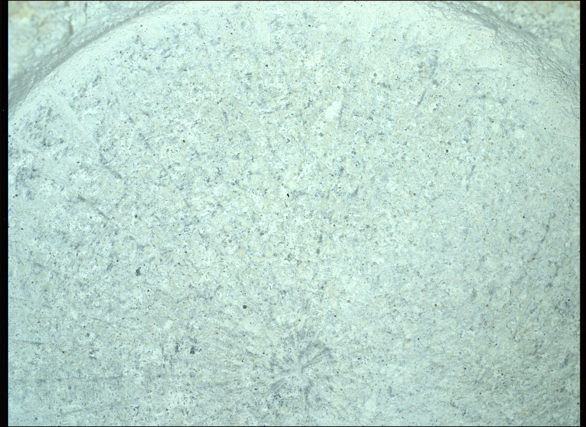 Марсоход NASA Mars Perseverance сделал это изображение образца породы, получившего название Serpentine Lake с помощью камеры SHERLOC WATSON, расположенной на конце роботизированной руки марсохода. Инструмент SHERLOC использует камеры, спектрометры и лазер для поиска органических веществ и минералов, которые были изменены водной средой и могут быть признаками прошлой микробной жизни; в дополнение к своей чёрно-белой камере, SHERLOC помогает WATSON, цветная камера для получения крупных планов изображений текстур поверхности. Это изображение было получено аппаратом Perseverance 1 февраля 2025 года — в 1405-й сол или 1405-й марсианский день миссии Mars 2020 — в местное среднее солнечное время 23:41:38.    
 Источник: NASA / JPL-Caltech  📷
