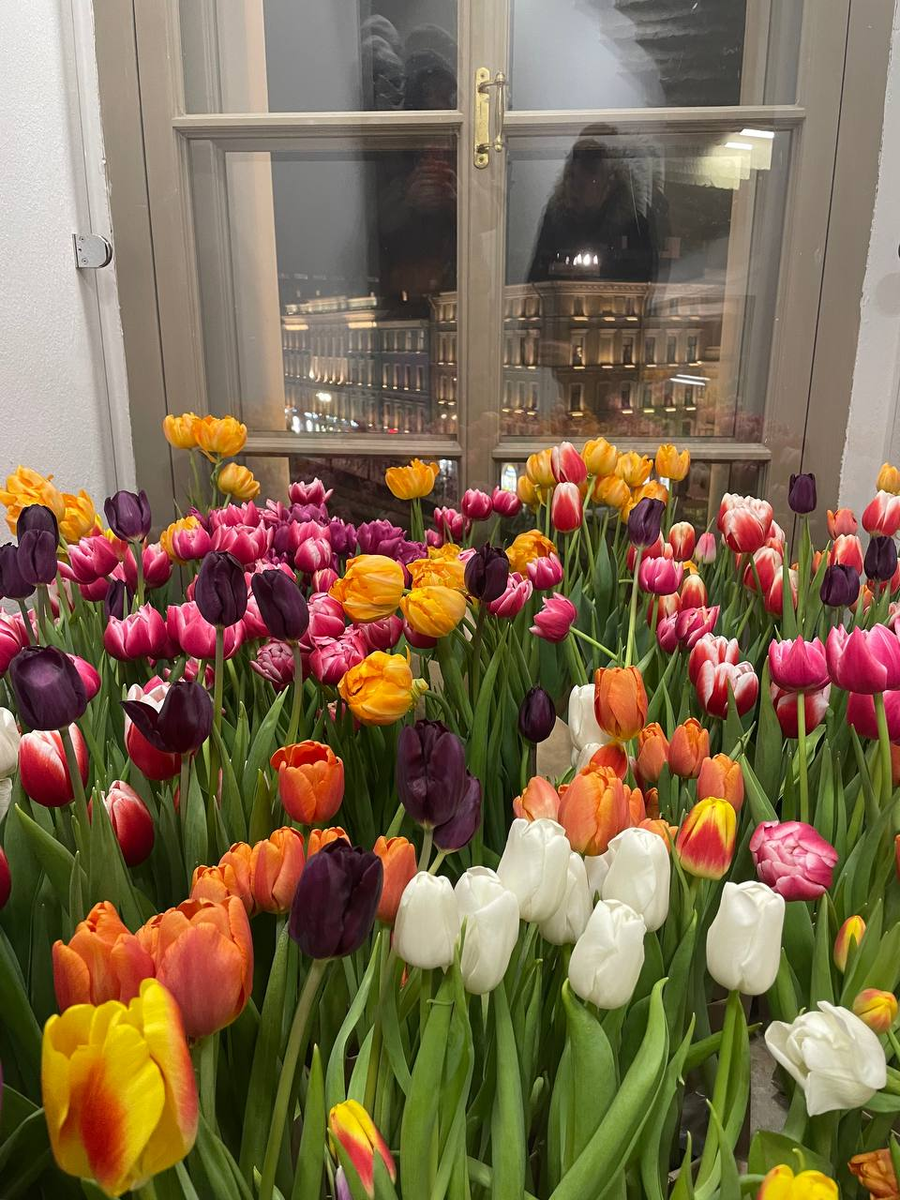 Тюльпановый рай 