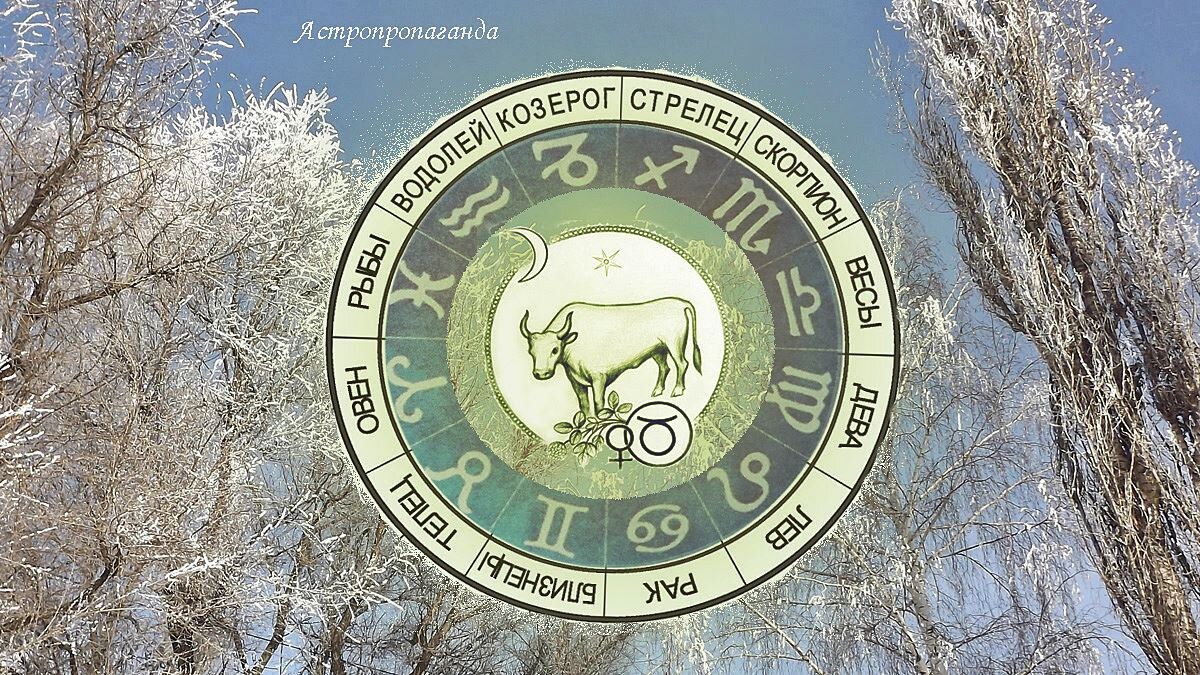Гороскоп для Тельца на февраль 2025. 