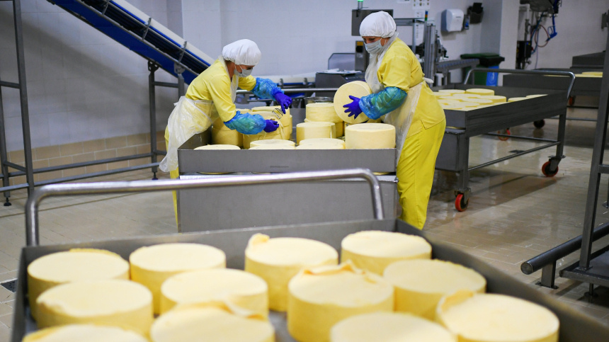    Фото: © РИА Новости/Константин Михальчевский