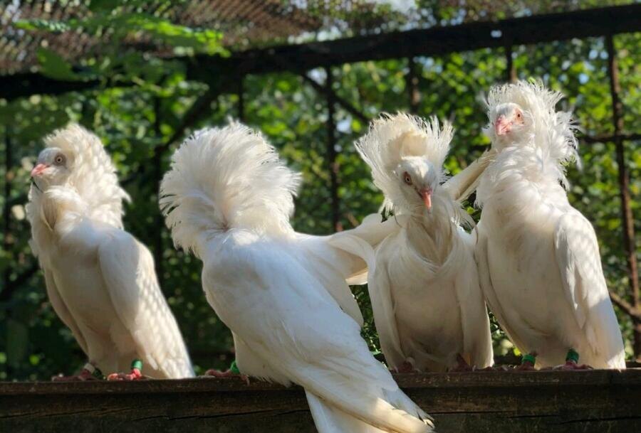     Фото: Depositphotos