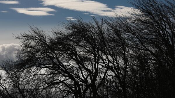    © РИА Новости . Макс Ветров