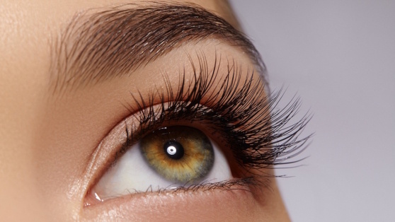    Какой сегодня праздник: 19 февраля – День ресниц Роман Захаров