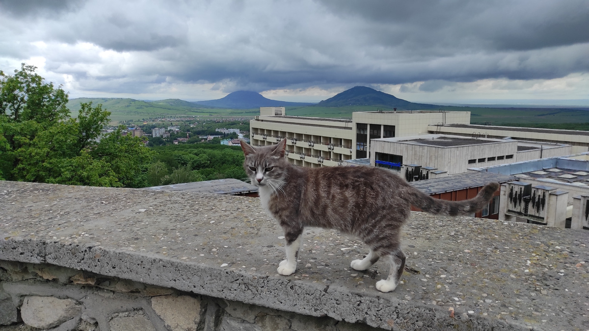 Тучи сгущаются над Кавминводами. Фото: Кирилл Полиенко/Polienko: путешествуем вдвоём