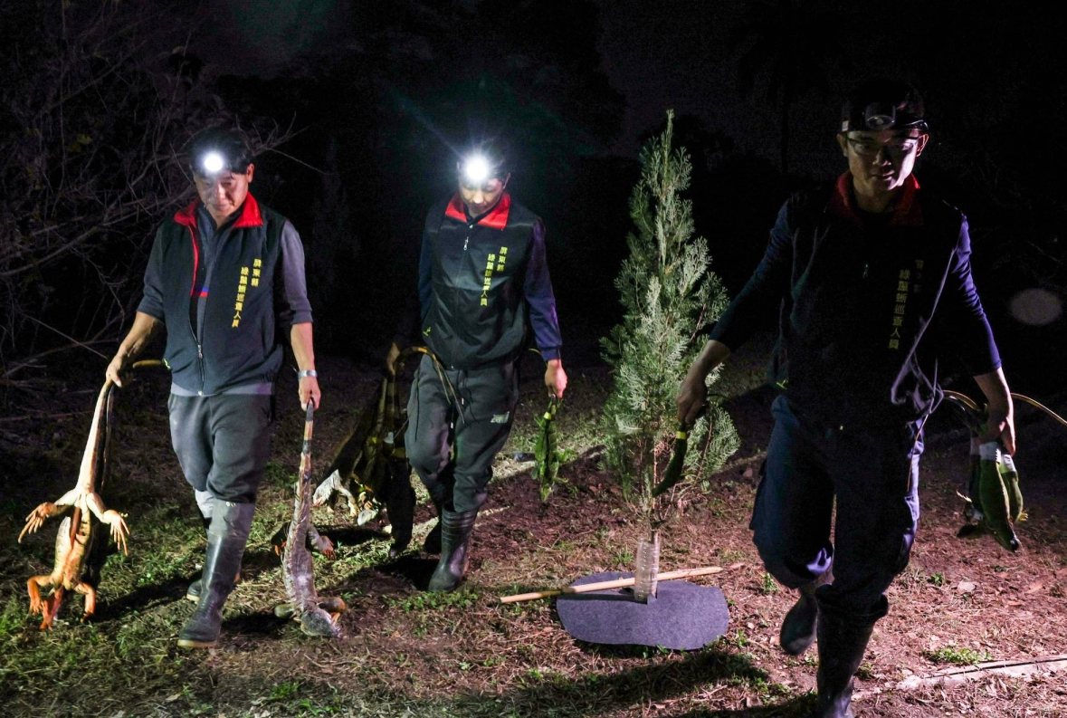 Крутой ночной отряд игуановых охотников