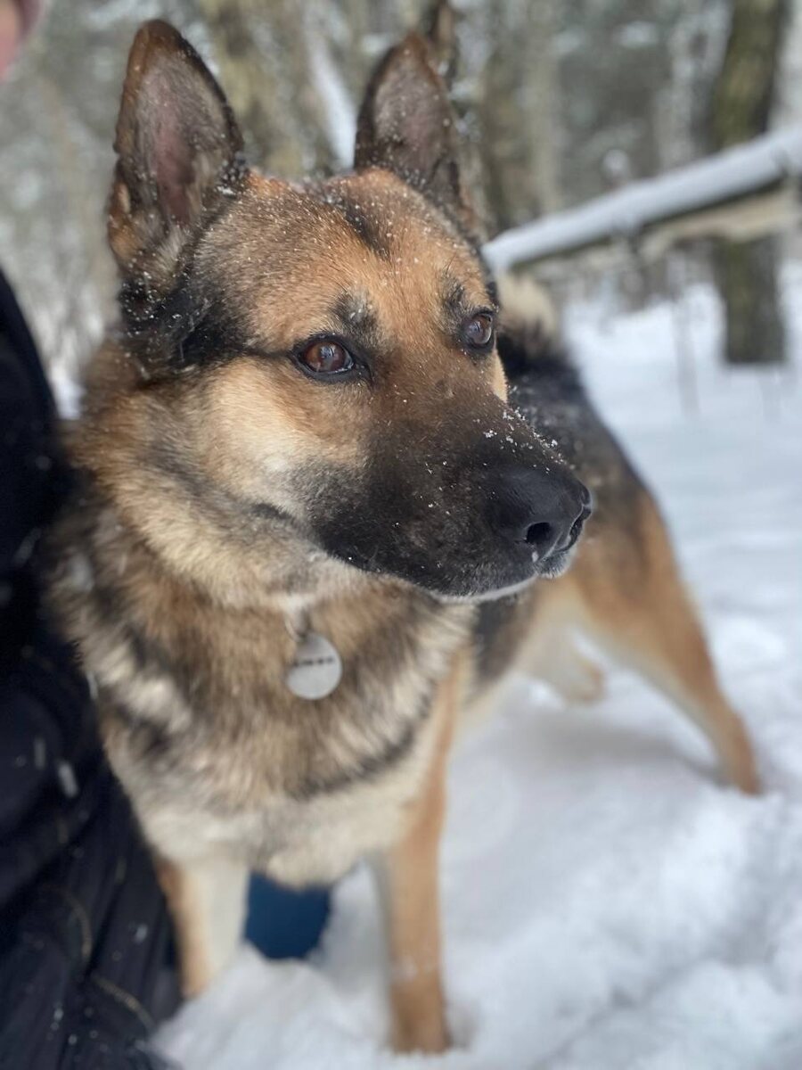 Это правильно! Я уже натерпелся в прошлой жизни