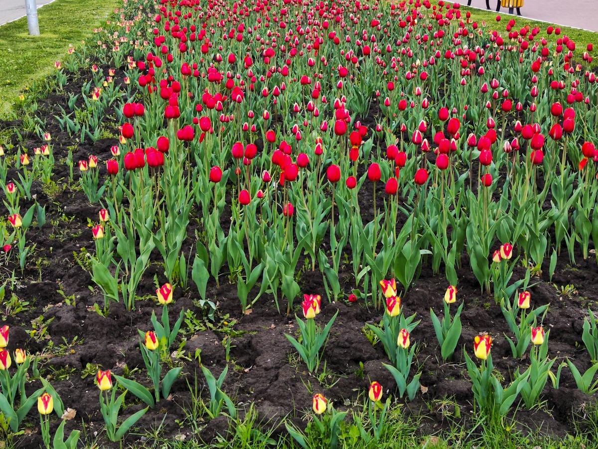 Синоптики рассказали, когда ждать потепления в Приморье.  Фото: Фото: ФедералПресс / Ксения Кобалия