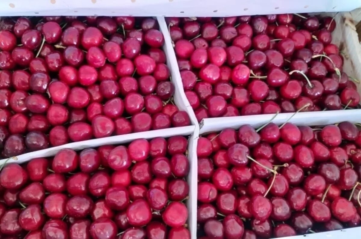    Первая черешня из Китая прибыла в Приморье на месяц раньше, чем в 2024-ом