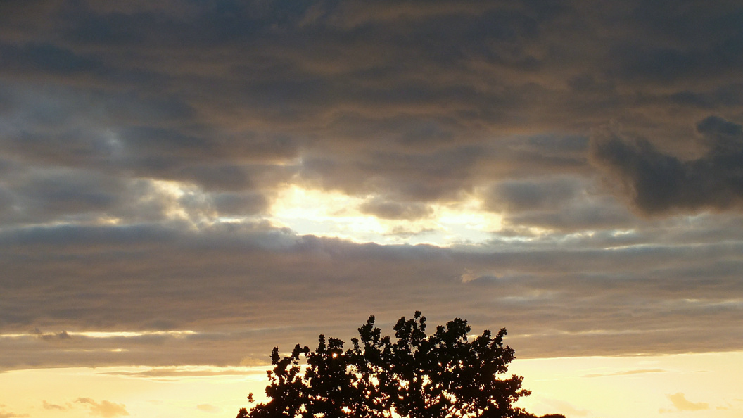    Фото: Victor Lisitsyn/Global Look Press